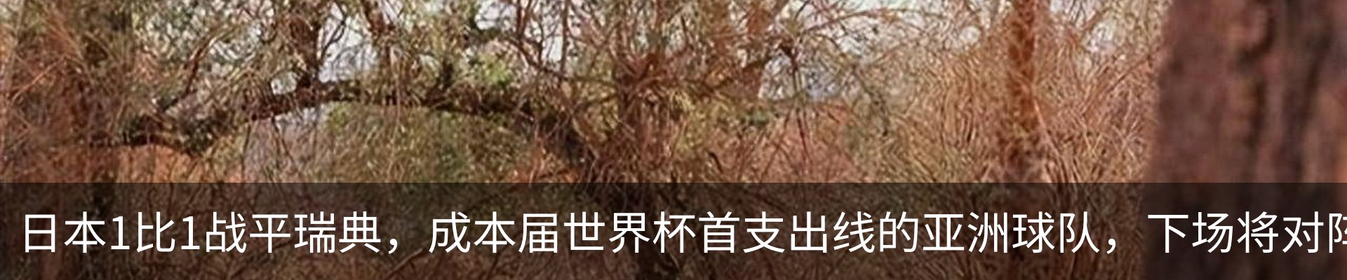 热点资讯