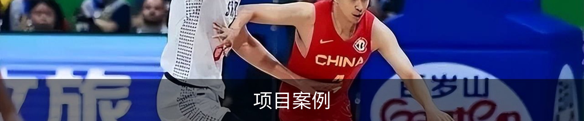 项目案例